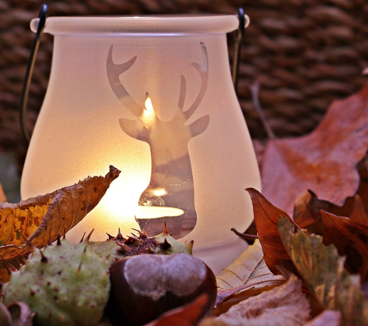 Herbst